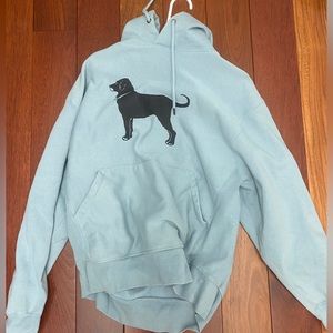 black dog hoodie in teal/blue!